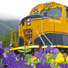 Flowers and Alaska Railroad locomotive.
