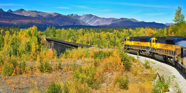 denali national park train tours