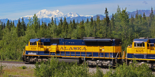 Denali Talkeetna Train