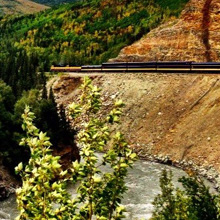 Denali Star train along the Nenana River. 