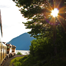 Sun through the trees on Alaska Railroad Coastal Classic.