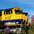 ARR locomotive between Talkeetna and Anchorage.