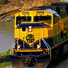 Train on the Turnagain Arm between Anchorage and Seward. 