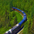 Train heading to Denali with Mt McKinley in the background. 