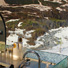 Beverage service near Grandview in the GoldStar Dome. 