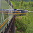 Alaska Railroad train approaching Denali National Park.