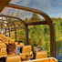 Passenger enjoying the view from the Wildnerss Express dome. 