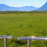 Wilderness Express viewing platform Palmer Hay Flats. 